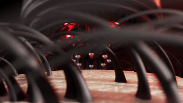Clearacuum 3-1 HairPro V2 15 gif3 ezgif.com speed